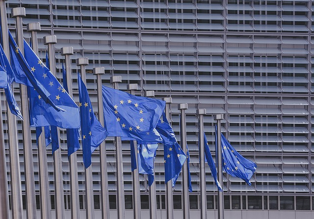 Aenean eu leo quam. Pellentesque